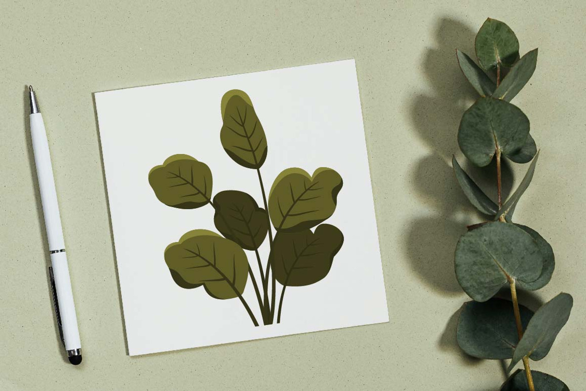 19 Tropical Leaves Foliage Plant, a Decorative Illustration by jongcreative (Photo 3 of 6)