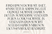 NOIR et BLANC Stylish Serif, a Serif Font by Nicky Laatz (Thumbnail 41 of 41)