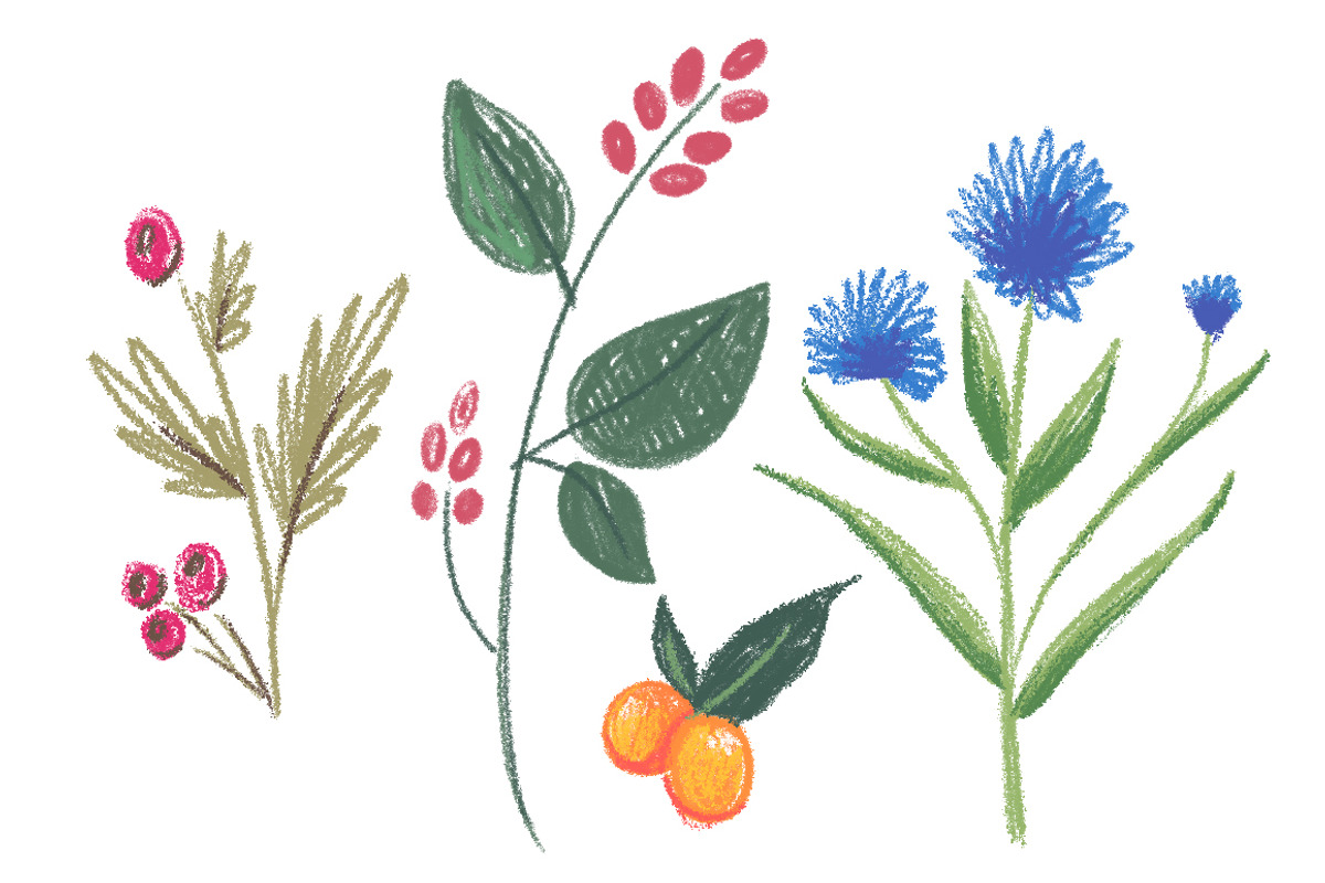 Pencil Pack Photoshop Brushes, a Brush Add-On by studio.pancz (Photo 3 of 9)