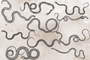 VintageVectorized-Snakes Clipart