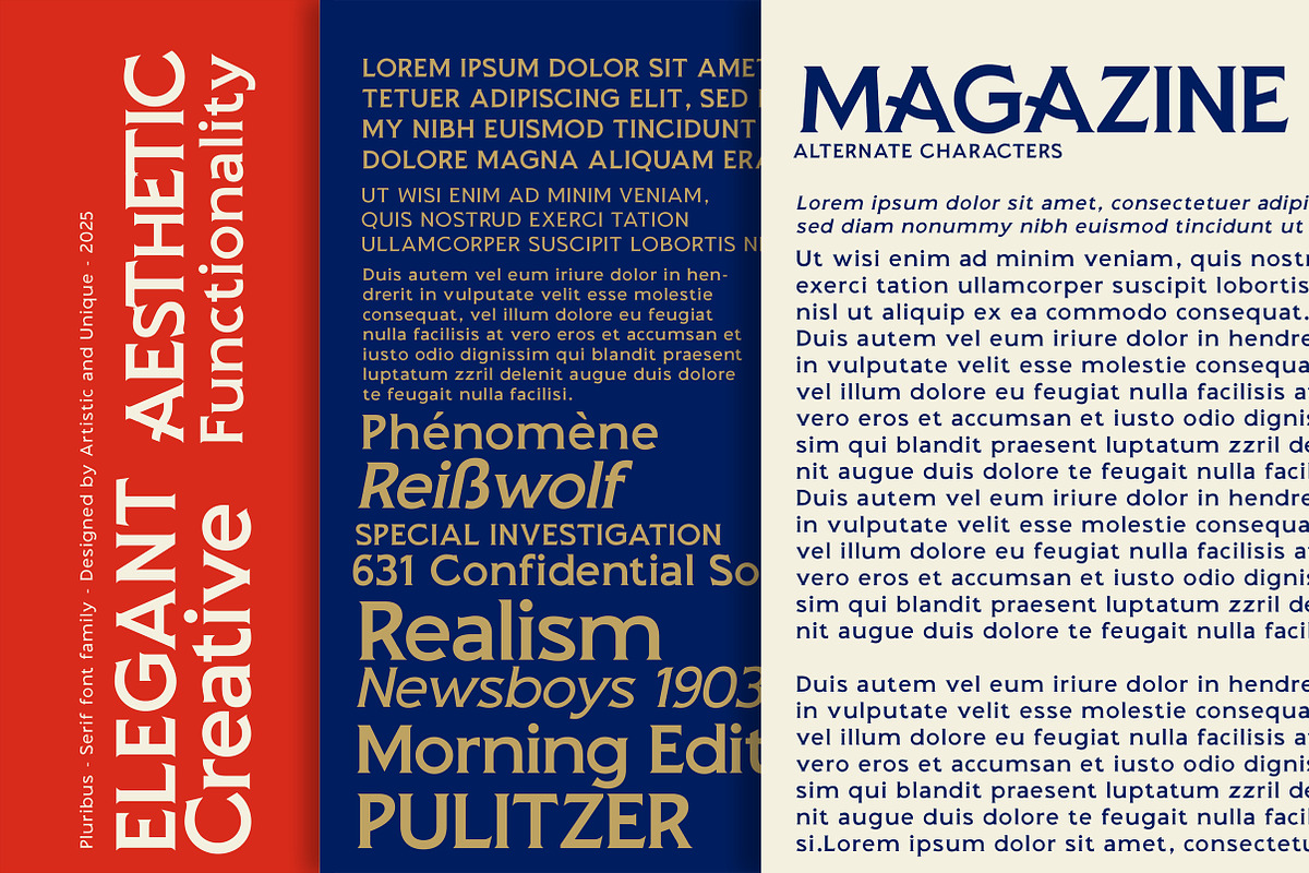Pluribus - Serif font family, a Serif Font by Artistic & Unique (Photo 15 of 15)