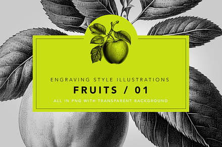 Fruit illustrations - engravings/01