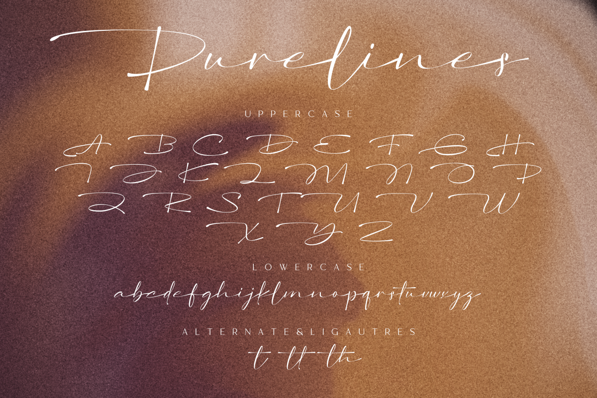 Purelines – Elegant Signature Font, a Script Font by Fikryal Studio (Photo 13 of 13)