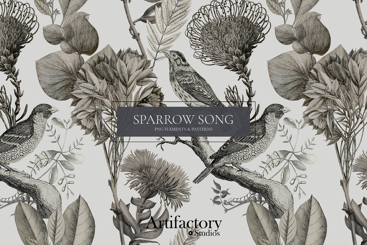 Sparrow Song PNG Element Bundle, a Pattern Graphic by Artifactory Studios (Photo 1 of 9)