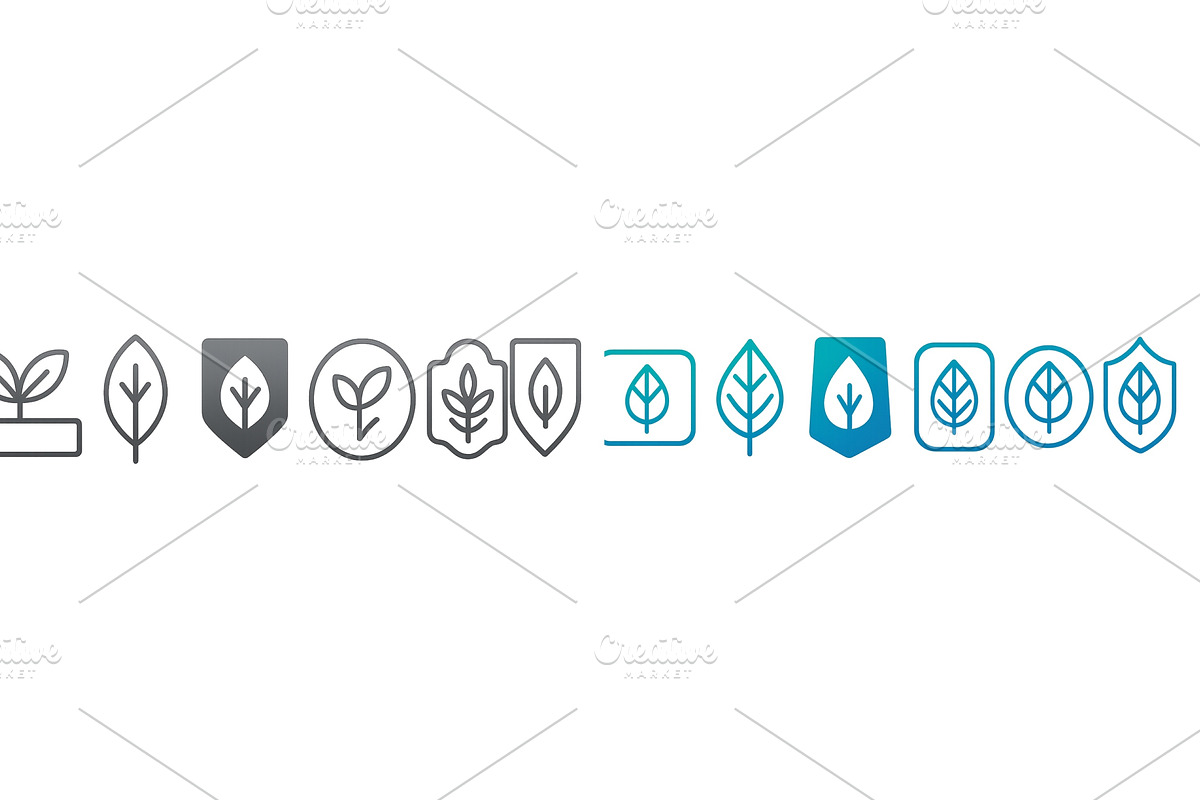 Various leaf designs and shield, an Illustration by ZinetroN