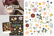 Botany & Halloween mystery BUNDLE, a Decorative Illustration by Ruslana Lubenets (Thumbnail 32 of 47)
