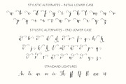 Celadon Modern Calligraphy Font, a Script Font by Studio Indigo (Thumbnail 10 of 15)