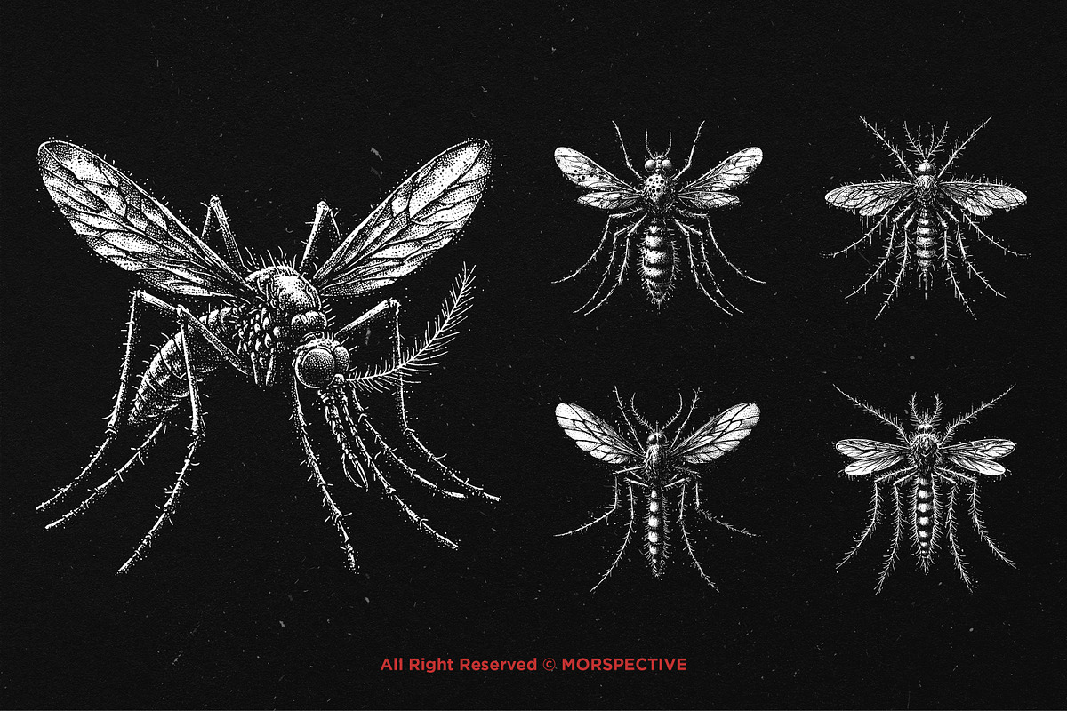 10 Bundle Dark Art Mosquito Insect, an Illustration by Morspective (Photo 5 of 7)