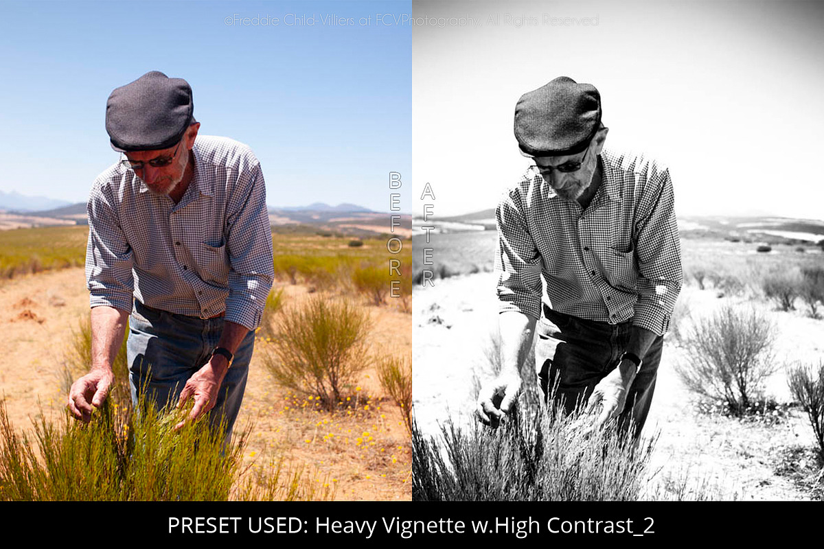 Pro Black & White Lightroom Presets preview 4