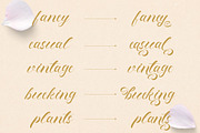 Fenshui – Fancy Script Font, a Script Font by Dhabee (Thumbnail 15 of 17)