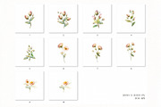 Spring Floral Nature Watercolor Set, a Decorative Illustration by NatalieArtsDenysenko (Thumbnail 3 of 11)