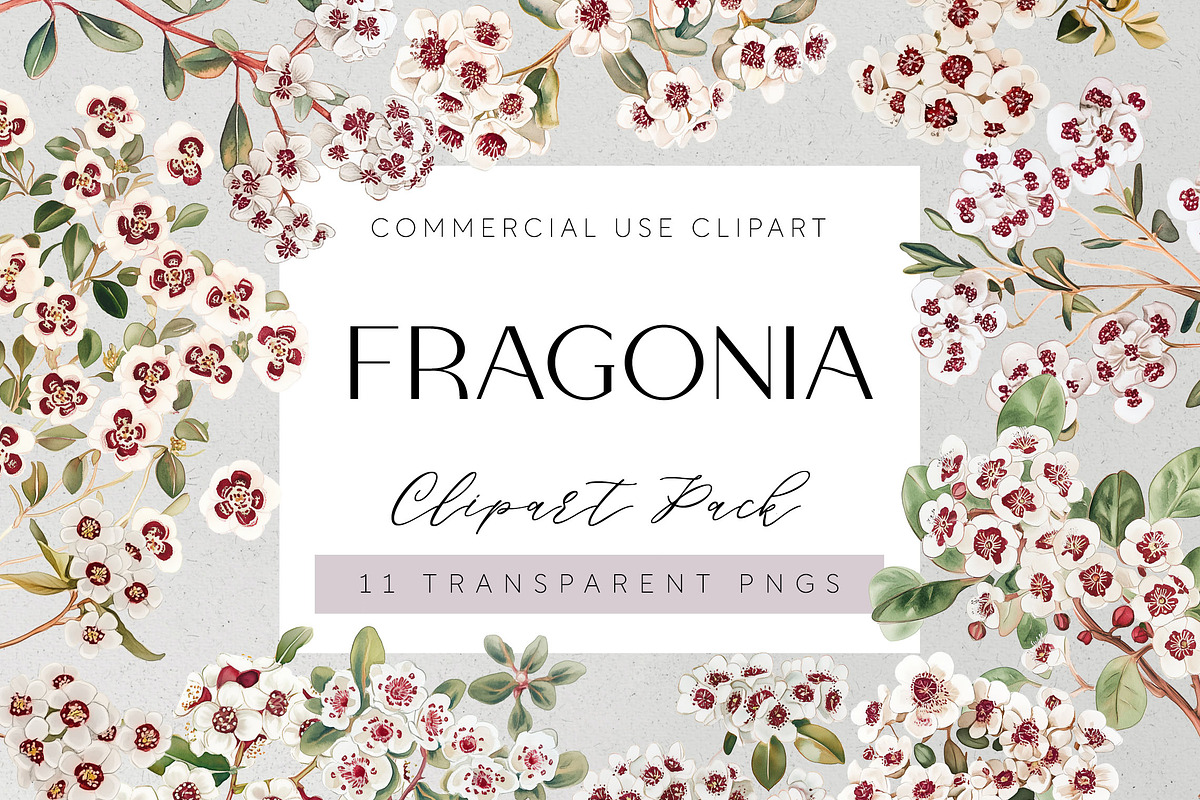 Fragonia Australian Floral Clipart, a Decorative Illustration by Pawcasso's Portraits (Photo 1 of 6)