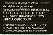 Markello Decorative Swashes Serif, a Serif Font by AmorfaType (Thumbnail 8 of 8)