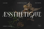 Aessthetique, a Serif Font by Foxys Type (Thumbnail 1 of 11)
