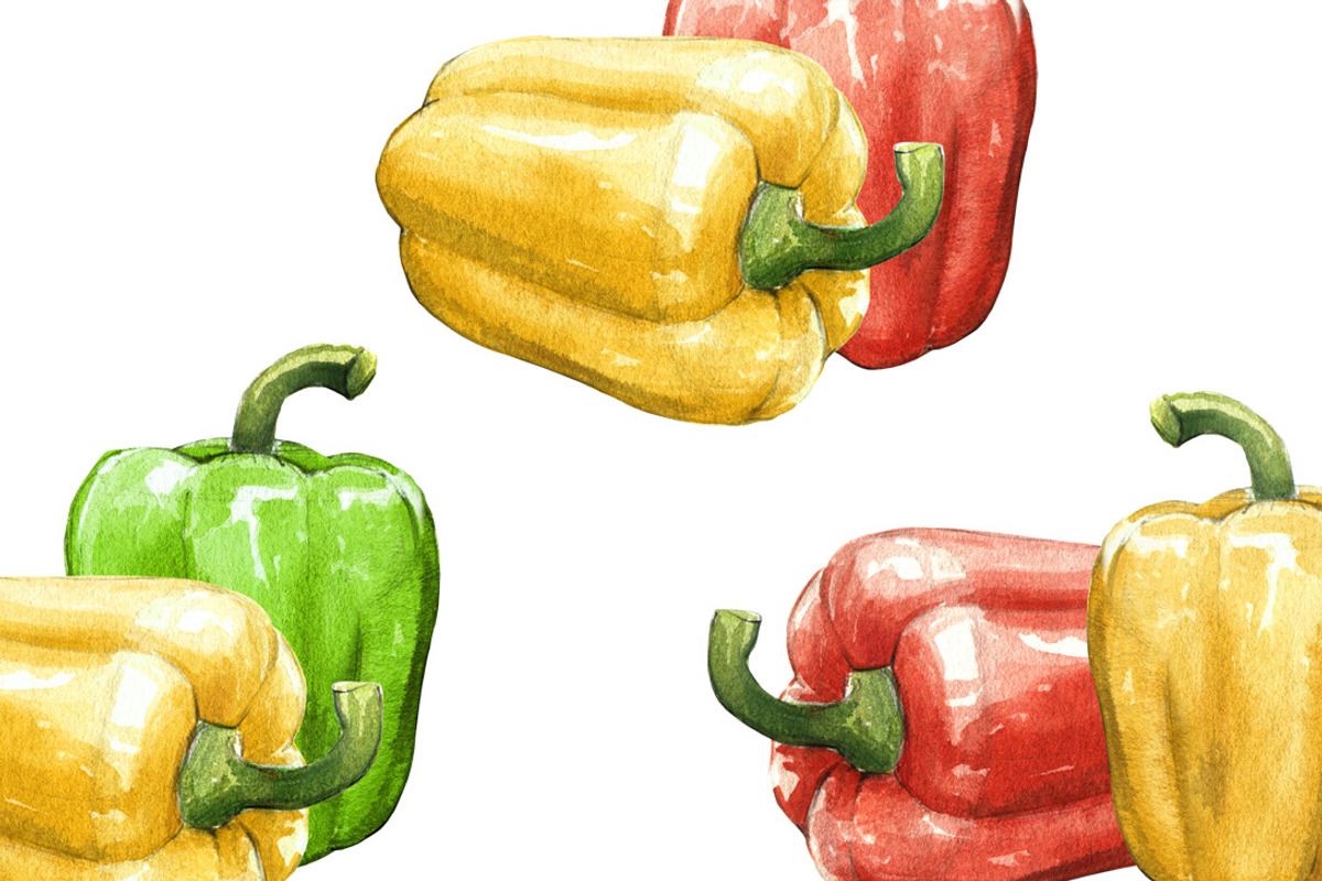 Sweet pepper watercolor set, a Food Illustration by wedraw (Photo 4 of 4)