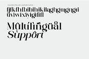 Calvoria Stelline, a Serif Font by Muksal Creative (Thumbnail 10 of 10)