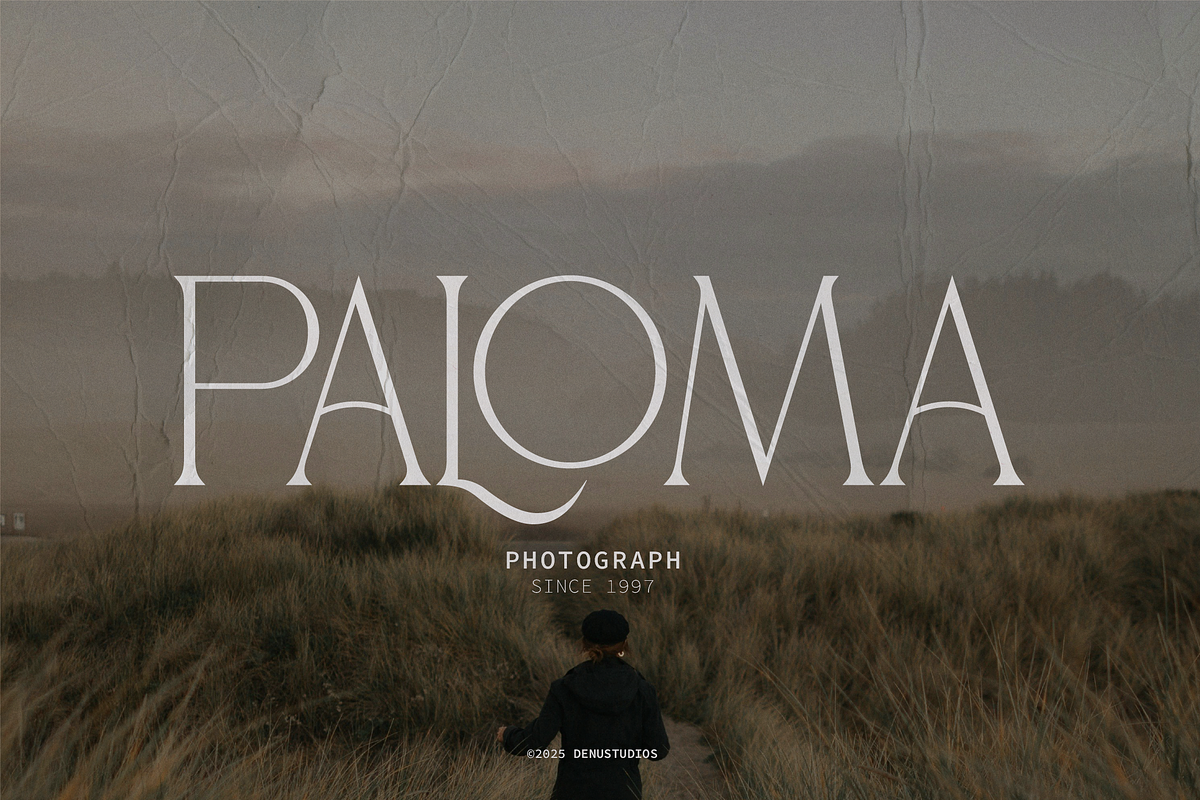 Gibme Foggie | Modern Elegant Serif, a Serif Font by Denustudios (Photo 4 of 12)