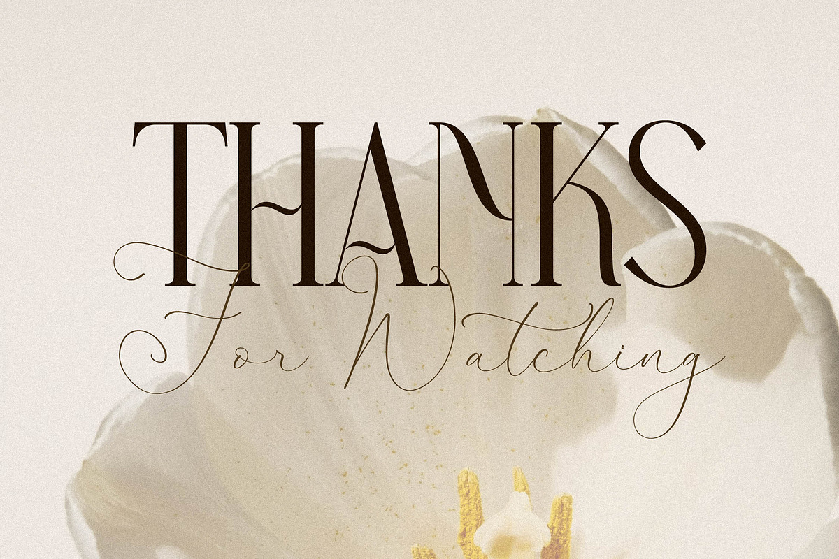 Narque Holden Gold Font Duo, a Serif Font by Storytype Studio (Photo 15 of 15)