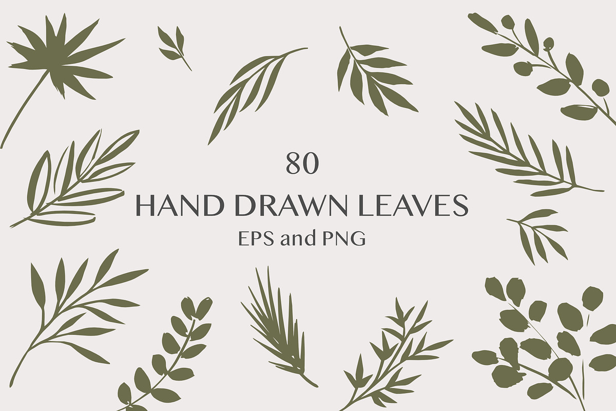 Hand drawn foliage, an Illustration by Wild Rose (Photo 1 of 6)