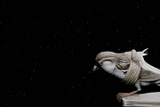 Bound Winged Sparrow Symbolic 3D Mo, an Animal 3D Model by Temer (Thumbnail 4 of 6)