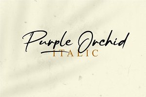 Purple Orchid // Fresh Typeface