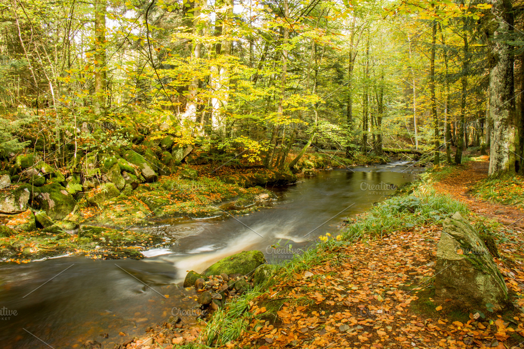 Brook in autumn landscape featuring autumn, fall, and landscape, a Nature Photo by ysajna