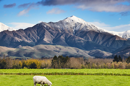 Beautiful New Zealand landscape