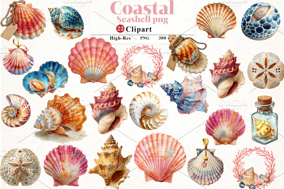 Coastal Seashell  Clipart, an Illustration by Watercolor design (Photo 1 of 4)