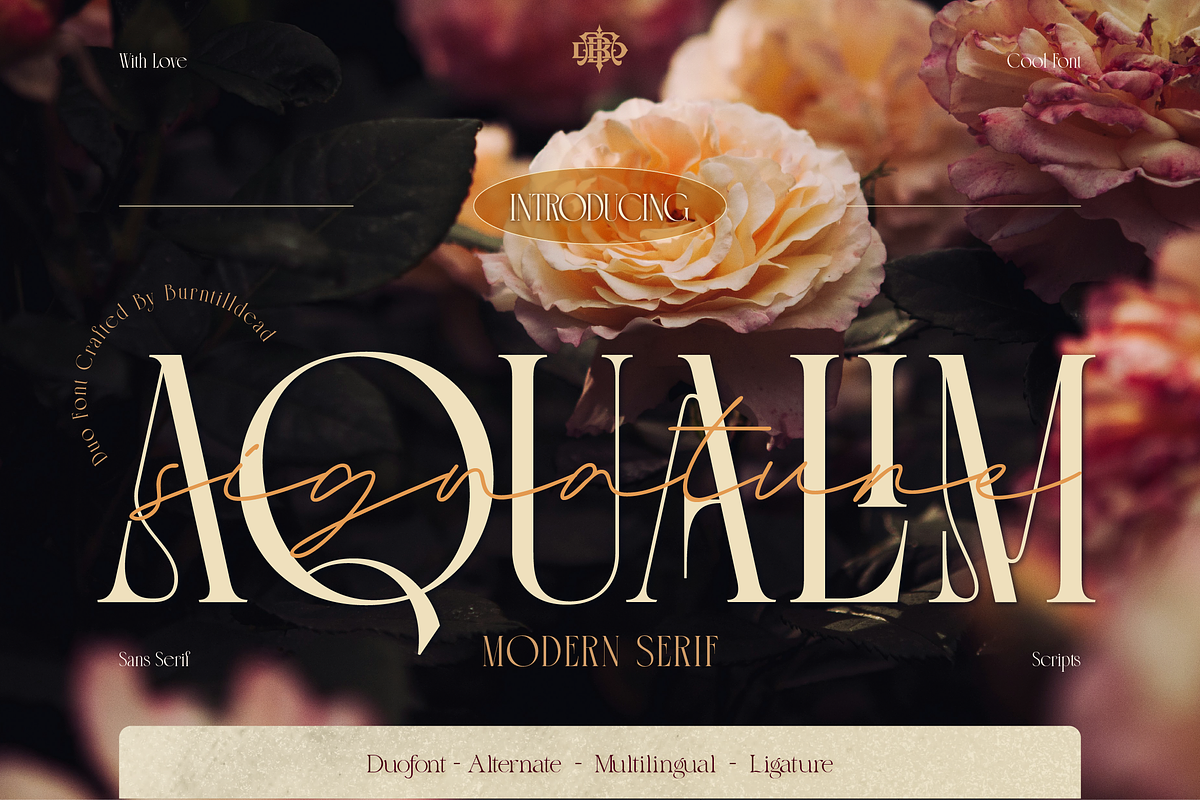 Aqualim Signature - Duo Font, a Serif Font by Burntilldead (Photo 1 of 12)