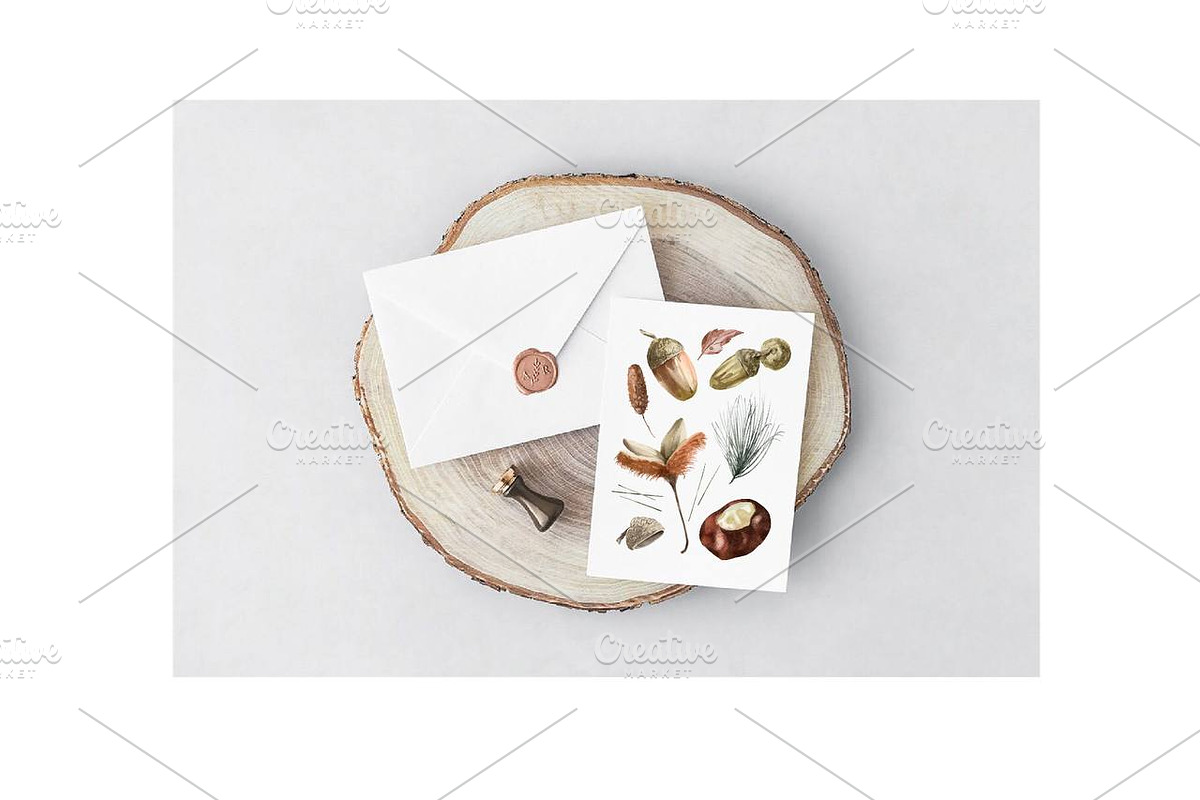 Acorns Watercolor Clipart. Forest., a Decorative Illustration by NKTKNS (Photo 4 of 4)
