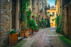 Green plants on the brick walls, an Architecture Photo by Alpine Dreams
