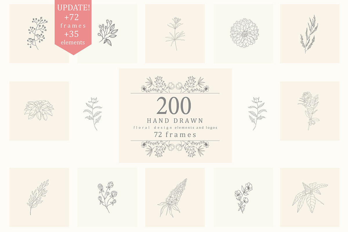 Hand Drawn Floral Elements. Frames, a Seasonal Illustration by Designwork (Photo 1 of 22)