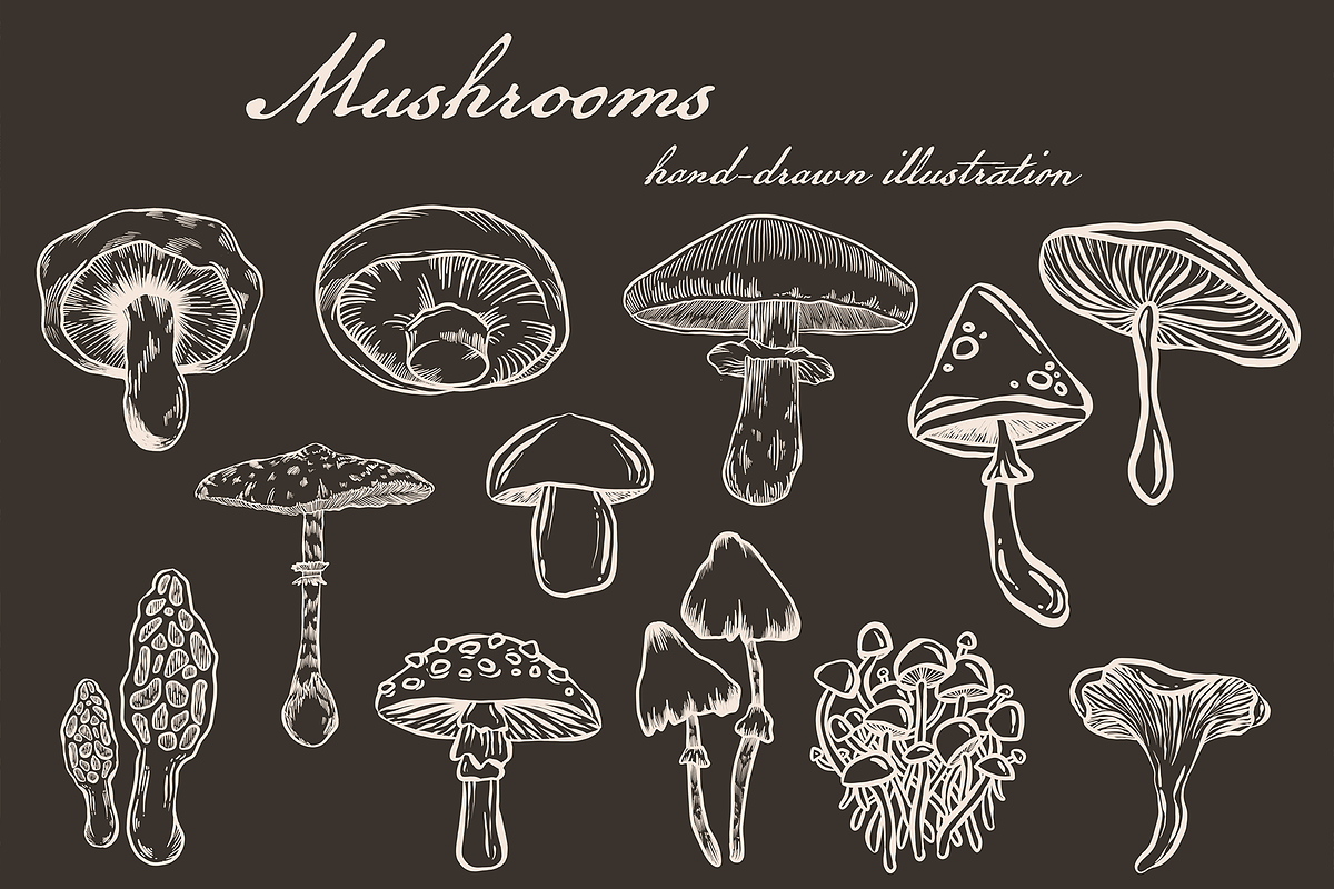 Mushrooms Stamps - Procreate Brushes, a Brush Add-On by MakeMyPlaceDesign (Photo 2 of 2)