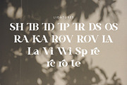 Vinaly Serif Font, a Serif Font by Idea Studio (Thumbnail 11 of 11)