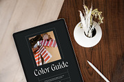 Color Palette Guide, a Palette Add-On by Meteor Street Studio (Thumbnail 4 of 4)