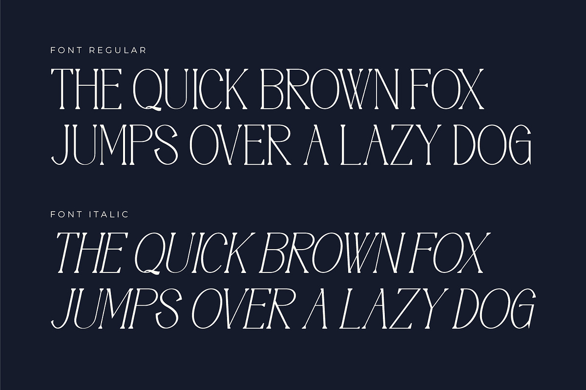 Moonlife - Serif Typeface Font, a Serif Font by Rishsketch (Photo 10 of 15)