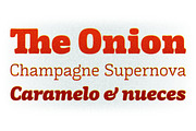 Mayonez family (14 fonts), a Serif Font by sergio (Thumbnail 2 of 4)