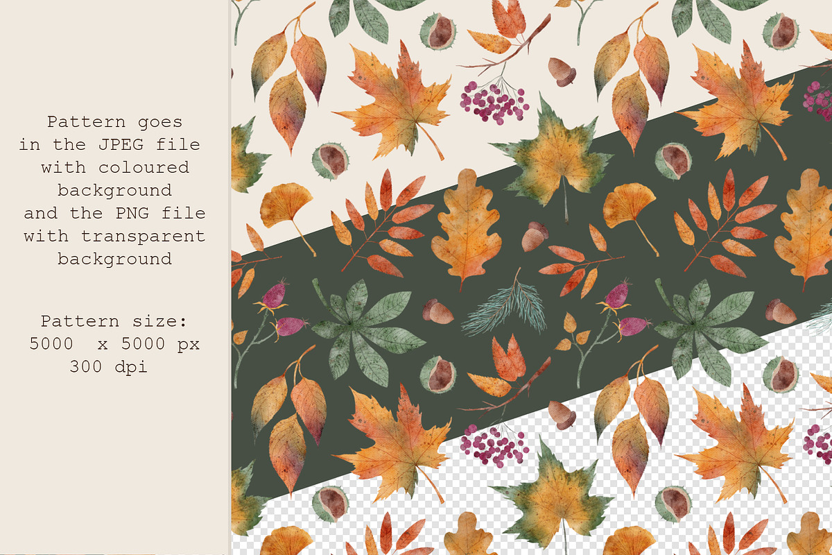 Fall Leaves | Cliparts & Pattern, a Decorative Illustration by OkPen (Photo 4 of 5)