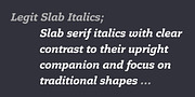 Legit Slab, a Slab Serif Font by Finaltype (Thumbnail 8 of 12)