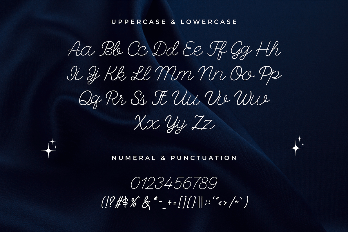 Delarose – A Monoline Script Font, a Script Font by overlaytemplates (Photo 4 of 5)