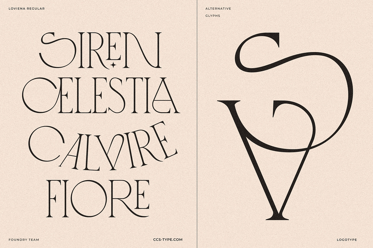 Loviena Rose - Stylish Serif, a Serif Font by CCS Type (Photo 22 of 25)