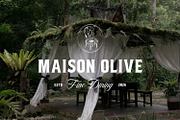 Calvelin, a Serif Font by din-studio.com (Thumbnail 3 of 10)