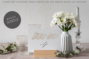 Wedding Lettering Designs