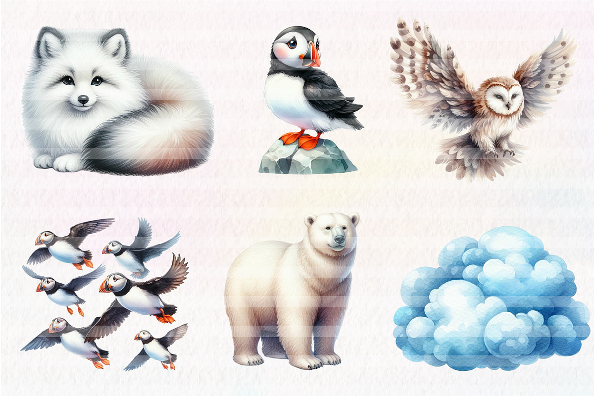 Arctic Animals, Clipart, an Illustration by CreationArt (Photo 5 of 5)