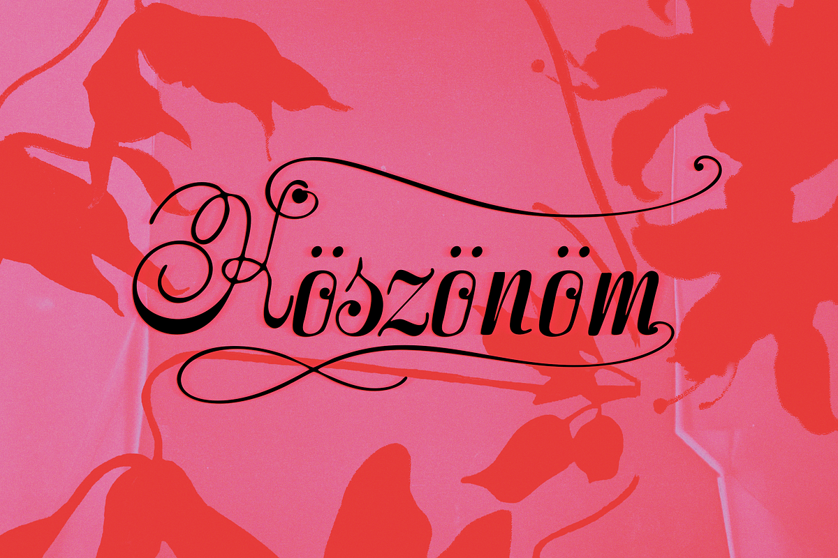 Stradivelle - Script Font, a Script Font by Lilithcollageart (Photo 3 of 10)