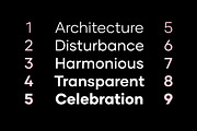 Gilmer – Geometric Sans Serif, a Sans Serif Font by Piotr Łapa (Thumbnail 9 of 15)
