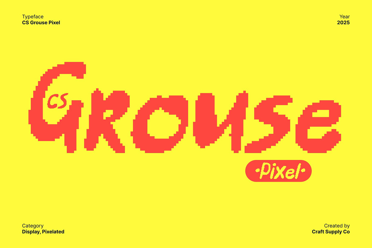CS Grouse Pixel, a Handwritten Font by Craft Supply Co. (Photo 1 of 8)