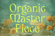 Veganza – Quirky Display Font, a Sans Serif Font by Almarkhatype (Thumbnail 4 of 11)