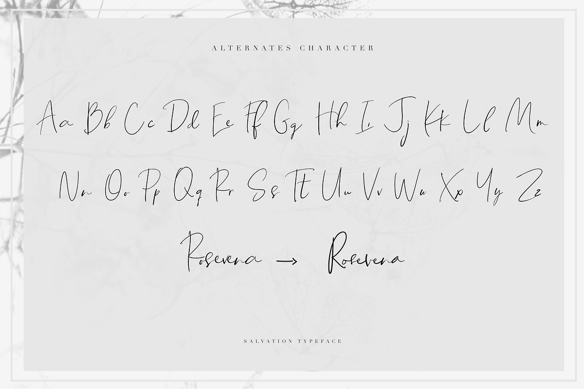 Salvation Script preview 8