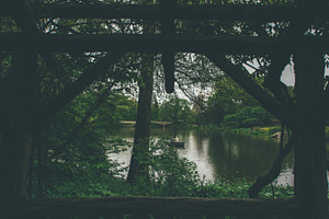 New york city central park featuring landscape, nature, and central park